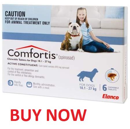 cheap comfortis plus for dogs